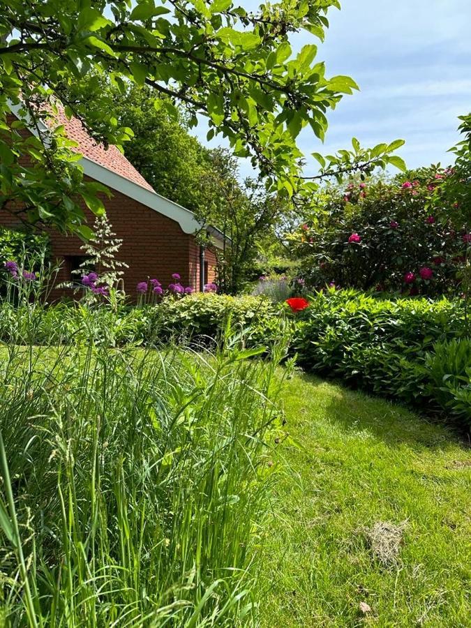 Haystackcottage Paterswolde المظهر الخارجي الصورة