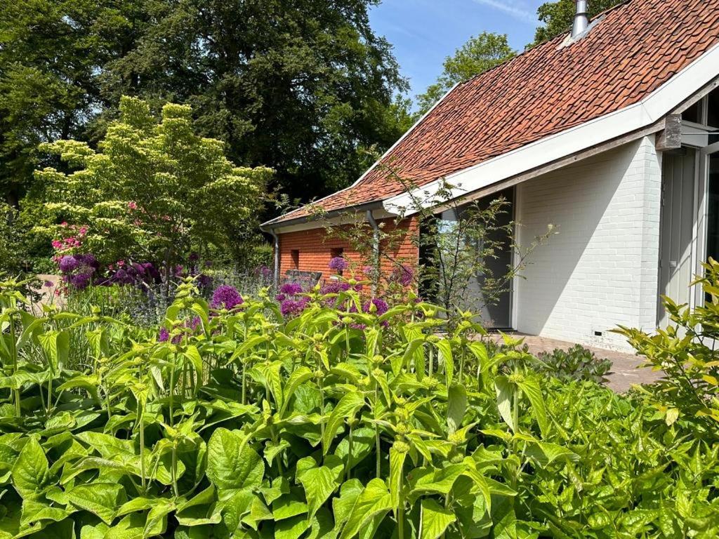 Haystackcottage Paterswolde المظهر الخارجي الصورة