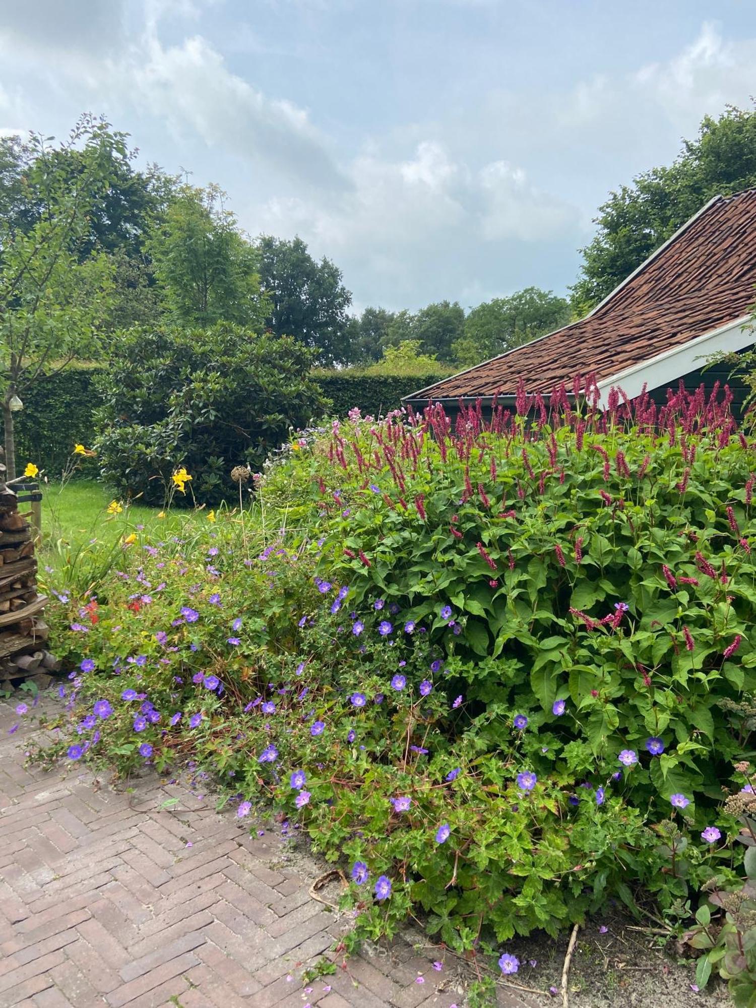 Haystackcottage Paterswolde المظهر الخارجي الصورة