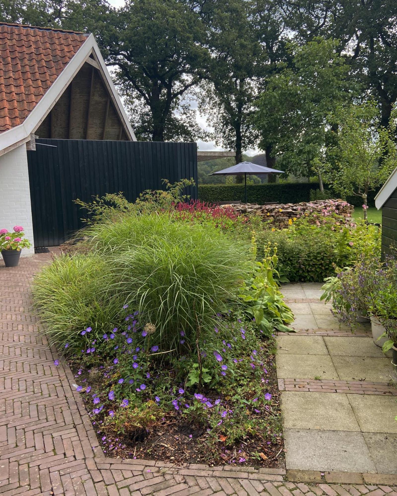 Haystackcottage Paterswolde المظهر الخارجي الصورة